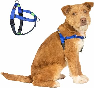 No Pull Dog Harness Front Clip, Blue, Small