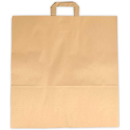 BIOZOYG sac en papier avec poignée I Sac en papier kraft écologique I