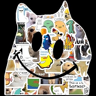 100 pezzi di divertenti adesivi Meme, sticker Meme classici, graffiti in vinile scientifici per laptop, skateboard, auto, valigie, adolescenti e adulti (A)