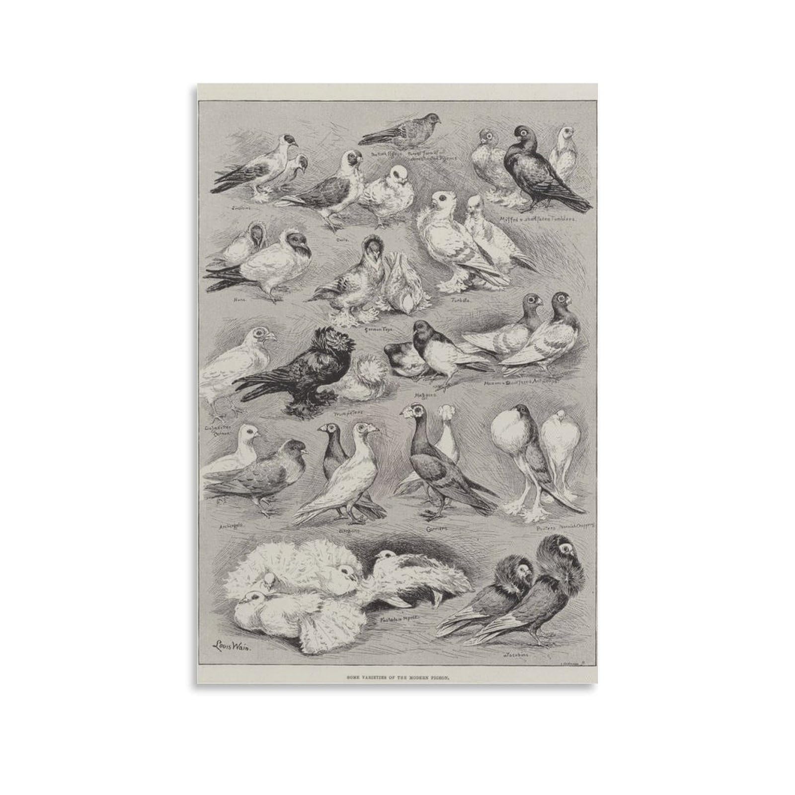 Some Varieties of The Modern Pigeon By Louis Wain Wall Art Prints Poster Art Poster Canvas Painting Decor Wall Print Photo Home Modern Decorative Posters 08x12inch(20x30cm)