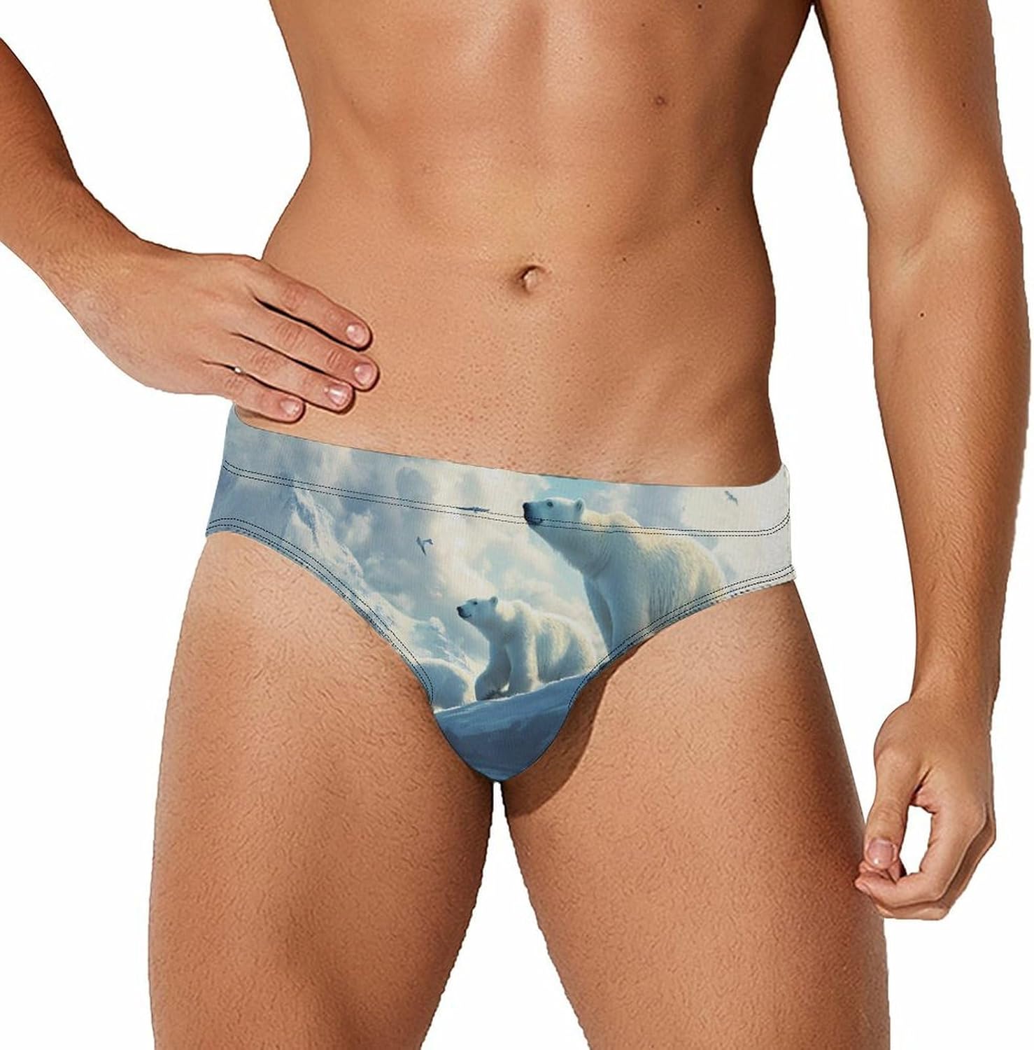 Polar Bears Ice Floes Arctic Ocean Mens Swim Briefs Print Bikini Swimwear Sport Swimsuit Surf Shorts Trunks