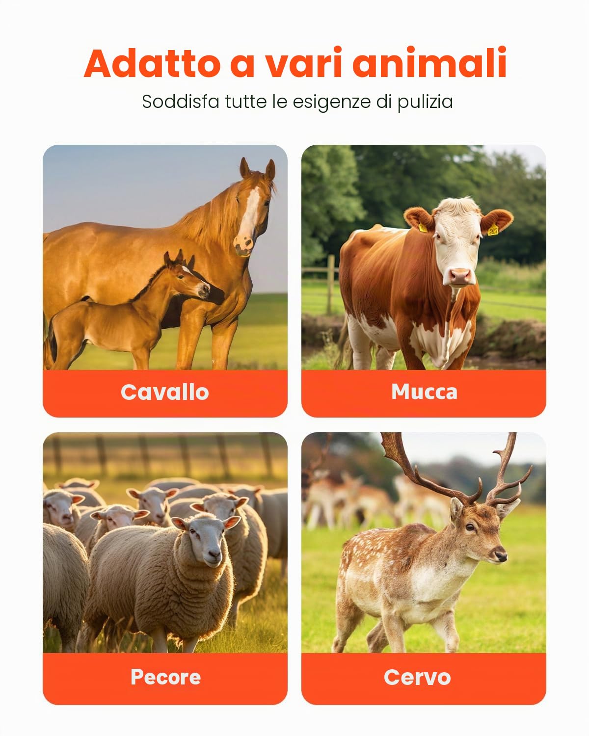 VEVOR Spazzola per Tiragraffi per Bestiame da 6 Pezzi, 51 x 19 cm Spazzola per Cavalli con 12 Viti, Tiragraffi per mucche, per Alleviare Prurito alla Schiena, Mantenere Pulizia, per Cavalli, Maiali