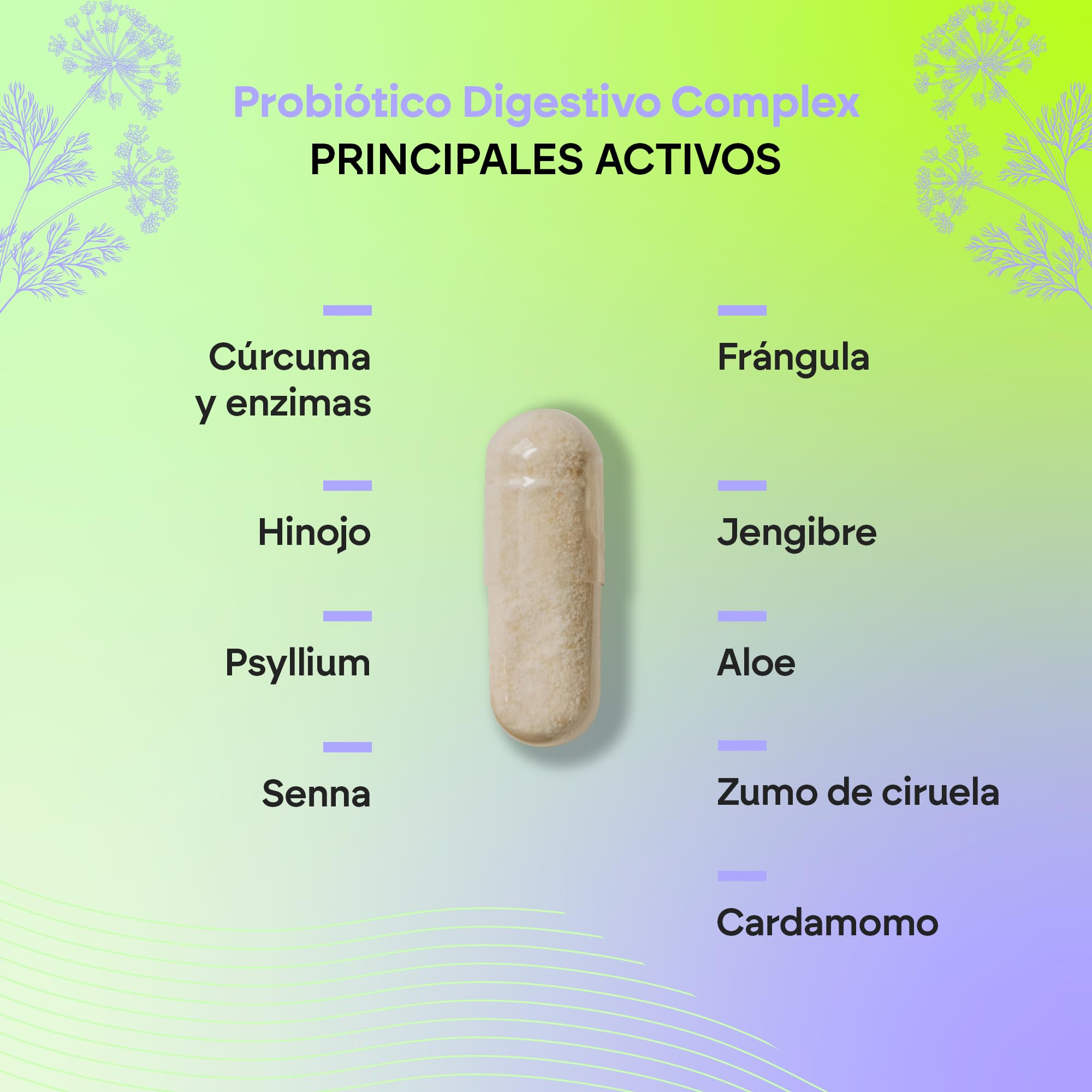 Probiótico Digestivo Complex - Cúrcuma + Enzimas + Hinojo + Psyllium + Senna + Frángula - 60 cápsulas Digestive Complex Nutralie