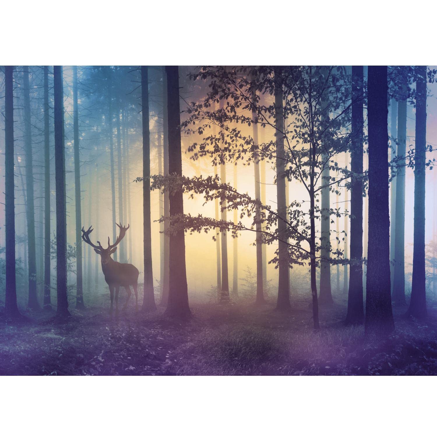 Runa Art Fototapeten 396 x 280 cm Wald Hirsch Nebel - Vlies Wanddekoration Wohnzimmer Schlafzimmer - Deutsche Manufaktur - Gelb Blau 9338012a