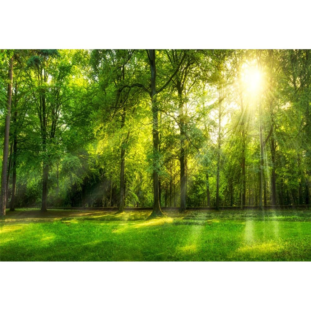 Leowefowa 10x7ft Spring Backdrop Jungle Forest Trees Backdrops for Photography Sunshine Rays Green Grassland Nature Outdoor Vinyl Photo Background