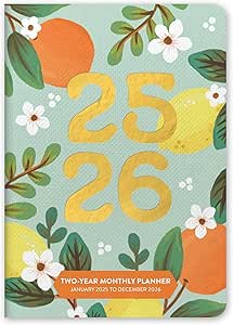 Amazon.com : 2025-2026 Orange Circle Studio 24-Month Monthly Pocket ...