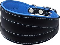 Vista 14 de Collar de perro acolchado extra ancho de cuero real, color negro brillante, galgo, saluki, deerhound, lurcher, whippet dachshund