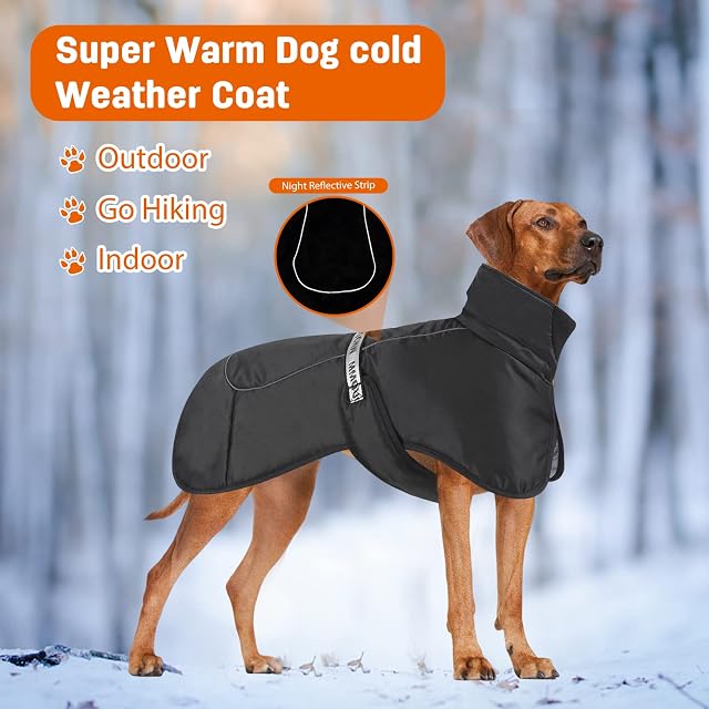 Foto 5 de 6 de PETCUTE Chaqueta de Perro Invierno