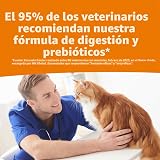 Ver la foto 5