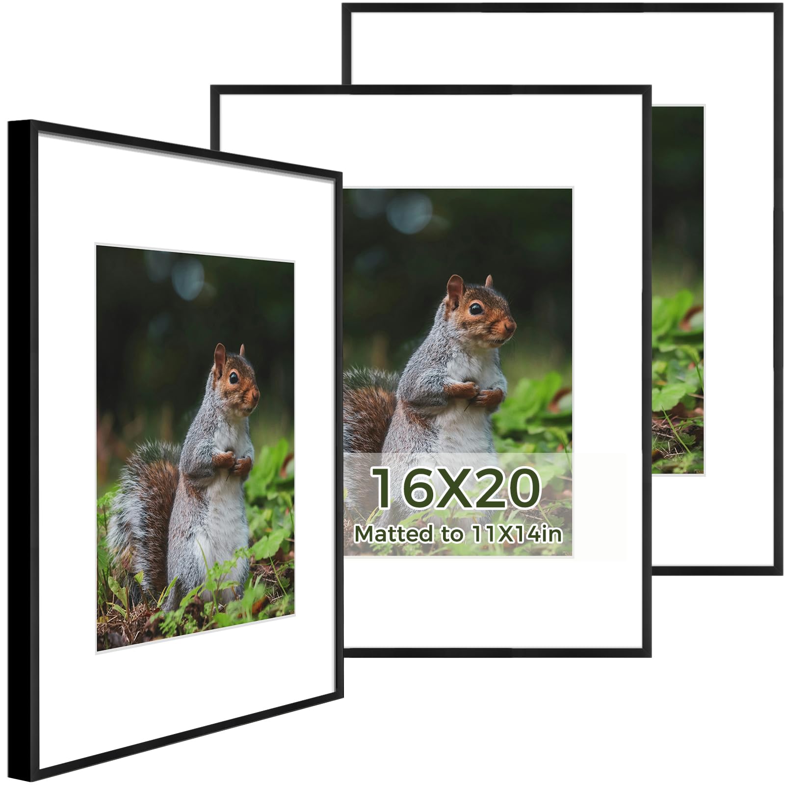 Golden State Art 16x20 Aluminum Frames