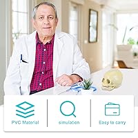 Vista 3 de Modelo anatómico de calavera humana – Modelo de cráneo de anatomía de cabeza esqueleto, modelo de 5.5 pulgadas para enseñanza médica, aprendizaje