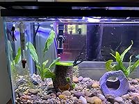 Review Image by Kelli Ward Kelli Ward