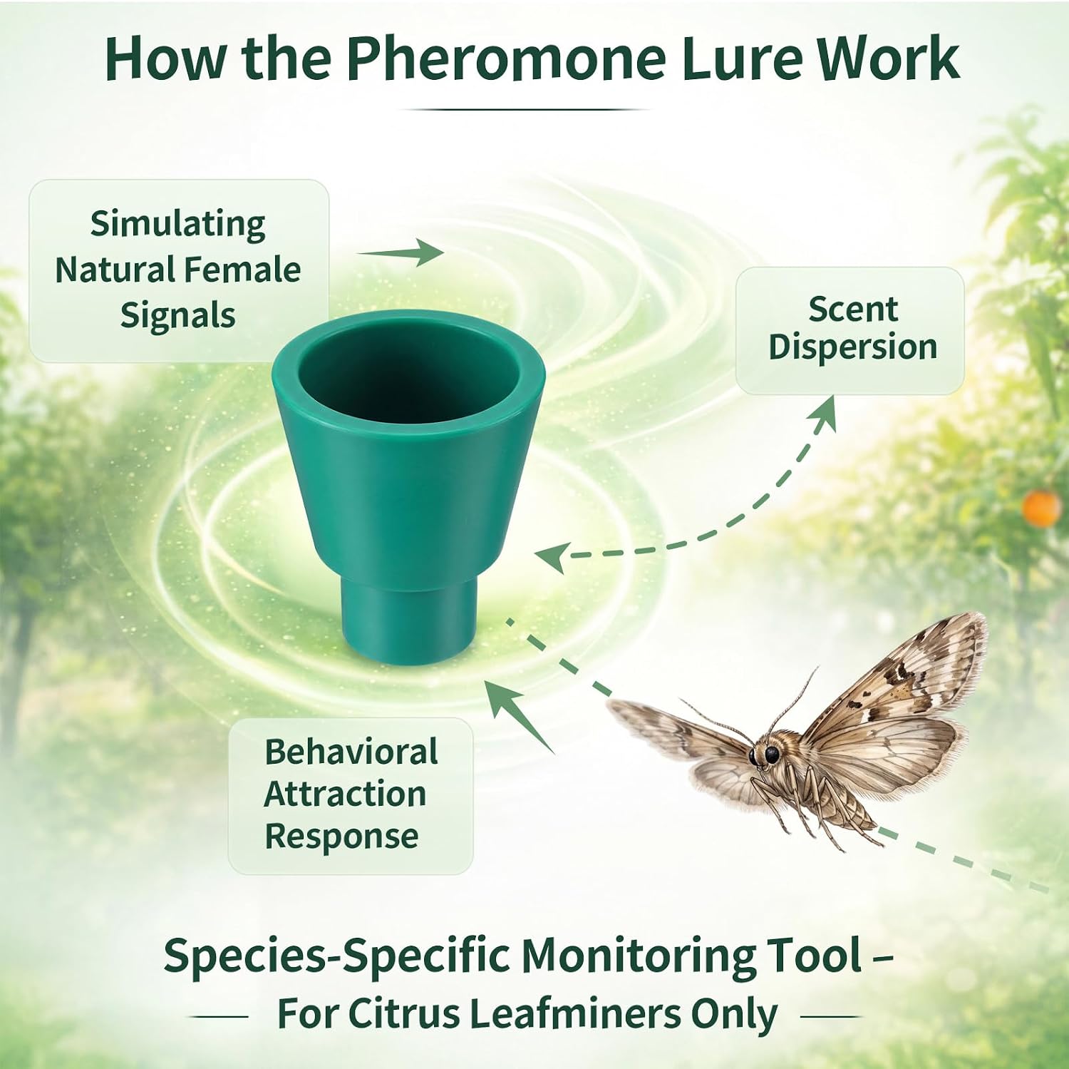 5 Leafminer Trap with Pheromone Lures, Reusable Garden Insect Trap for Fruit Trees, Citrus Trees & Vegetable Gardens, Outdoor Pest Monitoring Tool with 36.2 Inch Ground Stake, Includes 2 Lures image 5