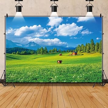 8x6ft Sky and Grass Nature Backdrop Green Grass Rustic Farmhouse Farm Background Farmland Barn Photography Backdrop for Birthday Party Grassland Landscape Backdrop
