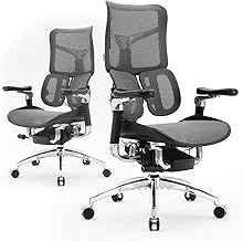 SIHOO Doro S300 Chaise de Bureau Ergonomique, Chaise d'ordinateur, Chaise de Jeu avec Support Lombaire Dynamique Double, accoudoirs coordonnés 6D(Maillage Noir Velours)