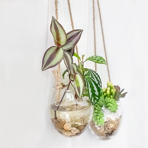 Miniatura 125 de Ivolador - Terrario de cristal colgante, maceta para plantas hidropónicas, decoración para el hogar