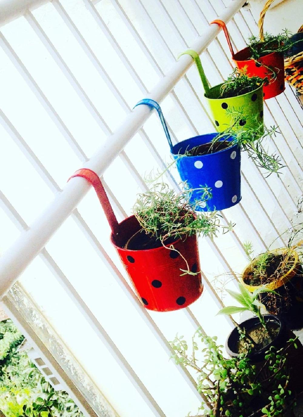 LIGHTER HOUSE� Metal Iron Rust Proof Balcony Railing Flower Pots with Detachable Hooks for Hanging- Set of 2 Pieces (Assorted Colour) (B07S9JZ3HN) Amazon Price History, Amazon Price Tracker
