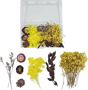 Bouquet Fiori Secchi Naturali - 50 Pezzi Lunghi 30-45cm Per Decorazioni - Foto 7