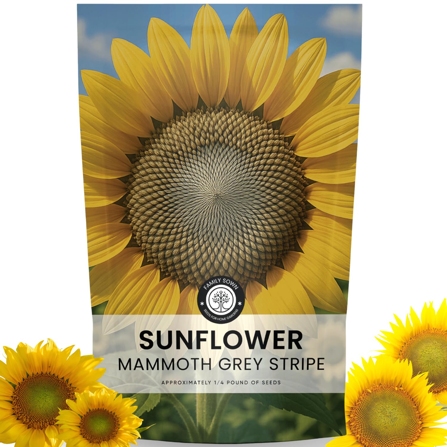 Family Sown Grey Stripe Sunflower