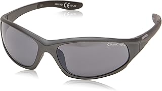 ALPINA Sonnenbrille Wylder Outdoorsport-Brille