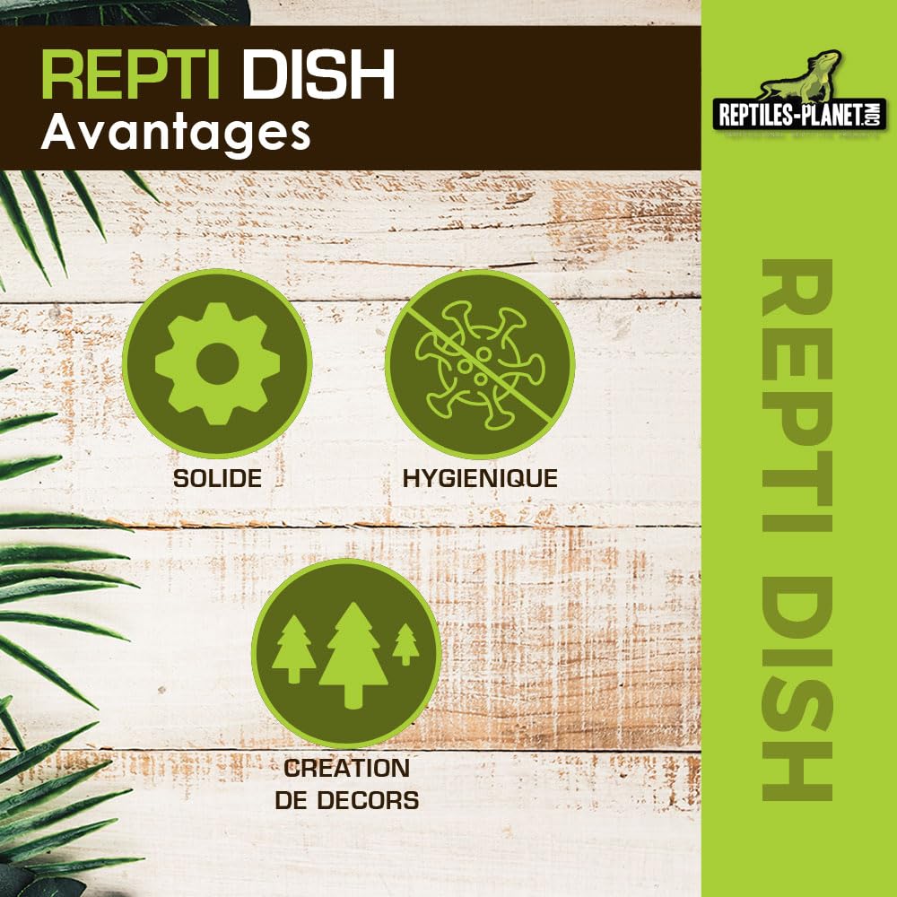 Reptiles Planet Repti Dish Deep M Gamelle pour Reptiles 12 x 11,5 x 8 cm