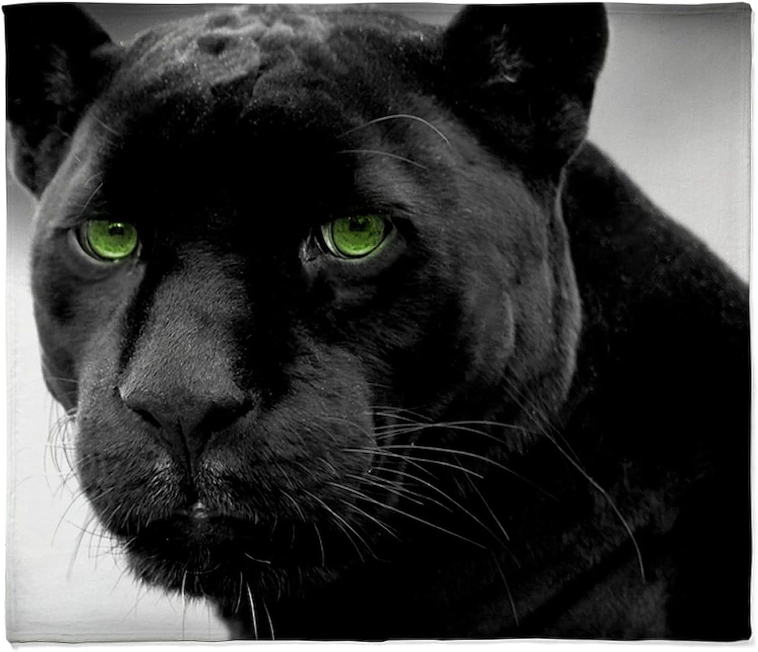 CafePress Black Panther Throw Blanket Super Soft Fleece Plush Throw Blanket, 60"x50"