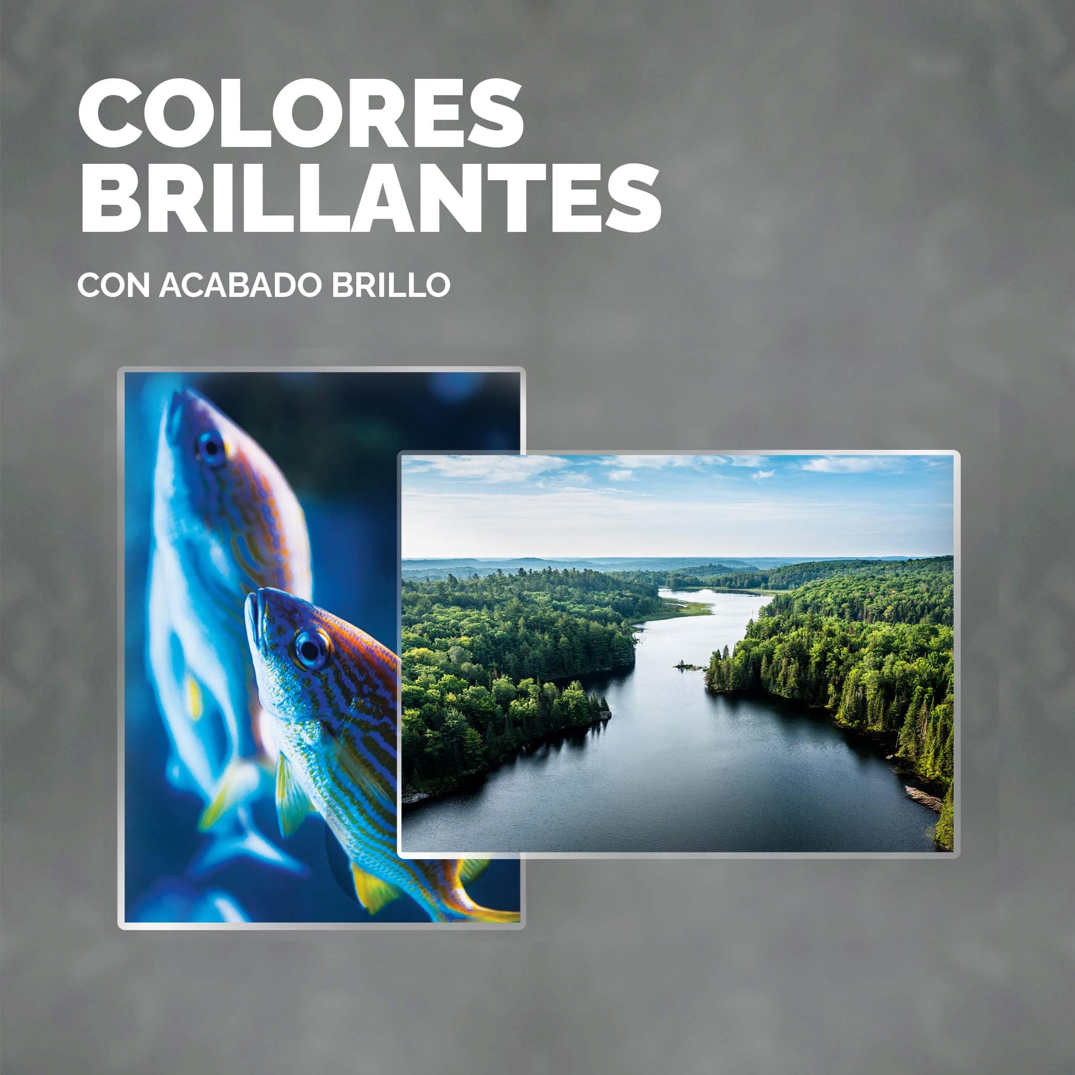 Fellowes Fundas de Plastificar (65x95mm), acabado brillo, 100 hojas, 250 micras (2 x 125 micras), acabado de calidad, adecuadas para fotos, tarjetas de identificación y documentos pequeños