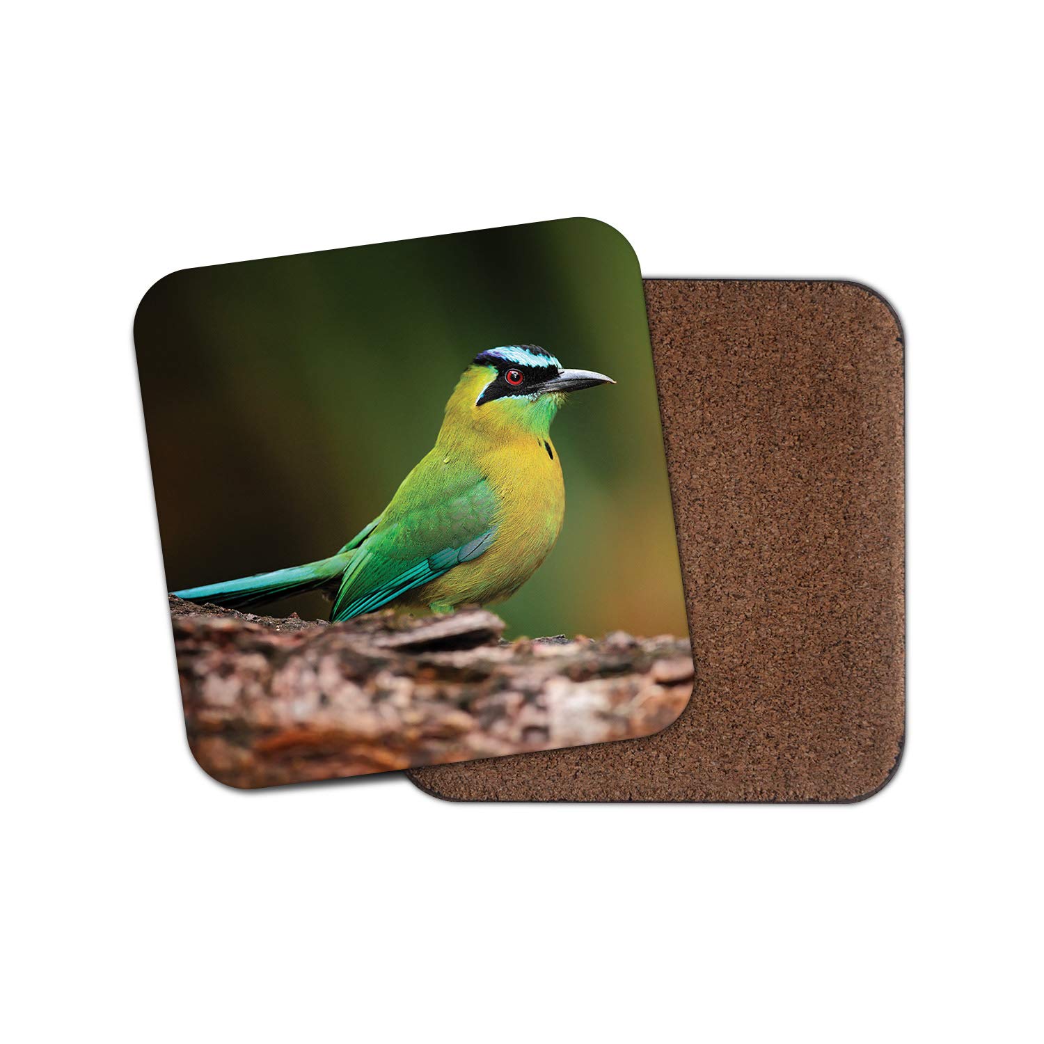 1 x Blue Capped Motmot Coaster - Crowned Bird Mexico Tropical Nature Fun #12499