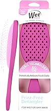 Frizz-Free Detangler Brush with Ionic Technology, Purple, Provides Frizz Control, Reduces Static, and Smooths All Hair Types, Best For Dry Hair, Made for Women, Men & Kids