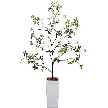 海外正規品 人工観葉植物 フェイクグリーン 観葉植物 造花 光触媒 大型 Fian 満天星ドウダンツツジ 140cm 鉢植 陶器鉢付 インテリア おしゃれ フェイ ファイナルバーゲン Simplepowersolar Com 海外正規品 人工観葉植物 フェイクグリーン 観葉植物 造花 光触媒 大型 Fian 満天星ドウダンツツジ 140cm 鉢植 陶器鉢付 インテリア おしゃれ フェイ ファイナルバーゲン Simplepowersolar Com