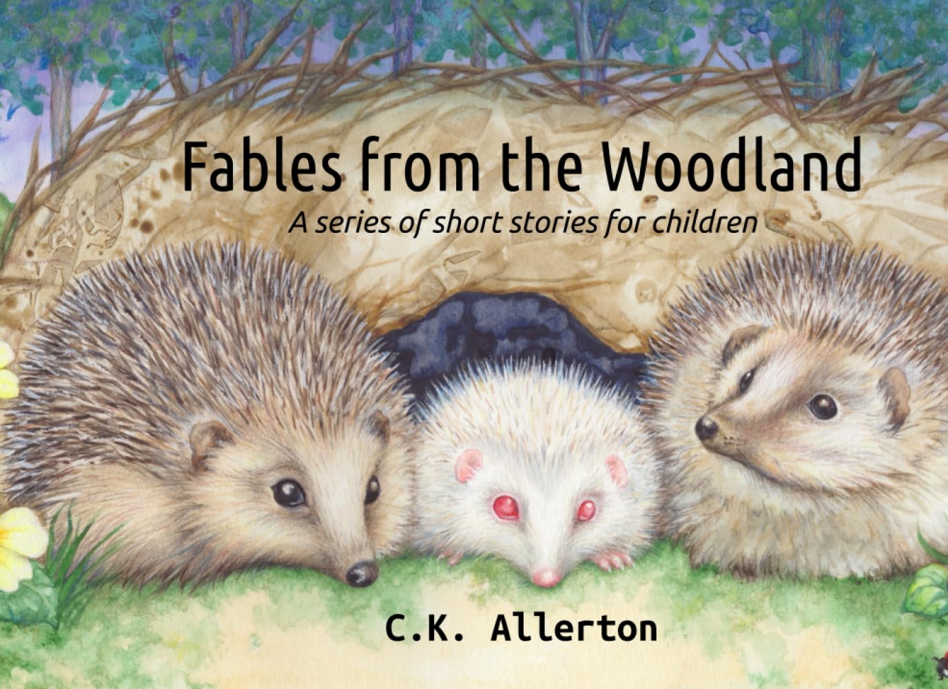Fables from the Woodland: A series of short stories for children (Fables from... A series of short stories for Children)