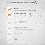Ver la foto 3