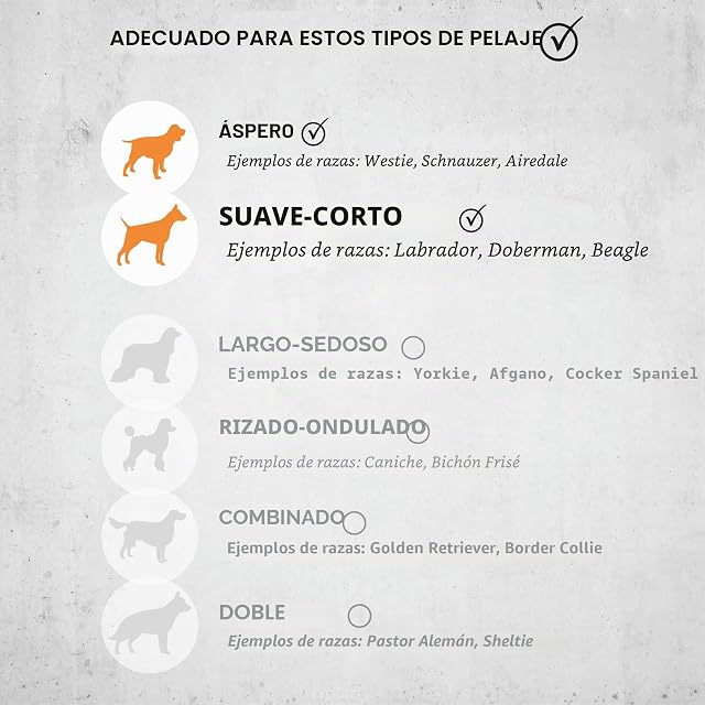 Foto 3 de 6 de Wahl Kit de cortapelos recargable para mascotas, cortaúñas para perros, kit de aseo inalámbrico para perros