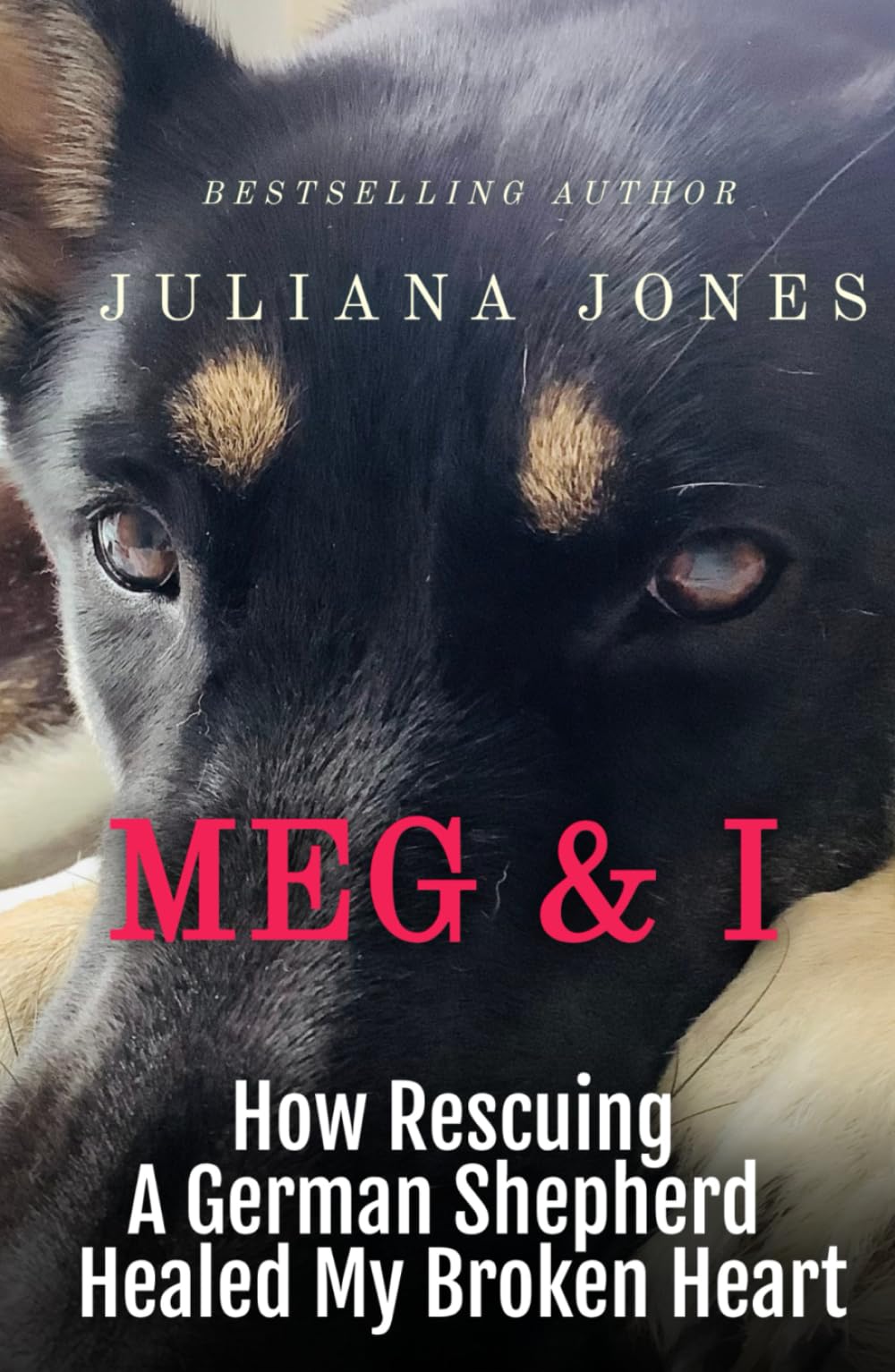 Meg & I; A Love Story: How Rescuing a German Shepherd Healed My Broken Heart