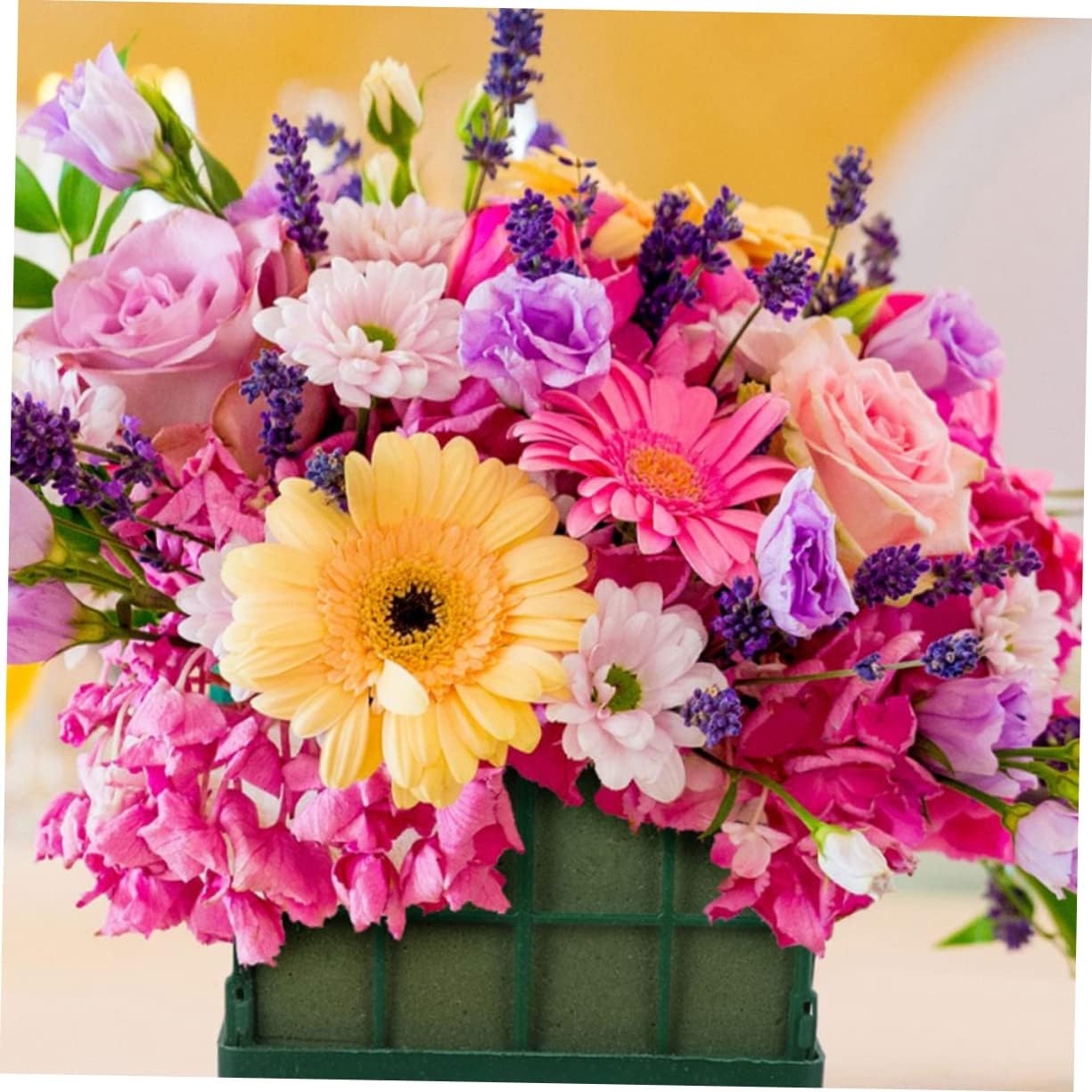 HEALSOPTHY 4pcs Floral Arrangement Supplies Plastic Floral Cages Flower Holder for Wall Flower Wall Decor Home Decor