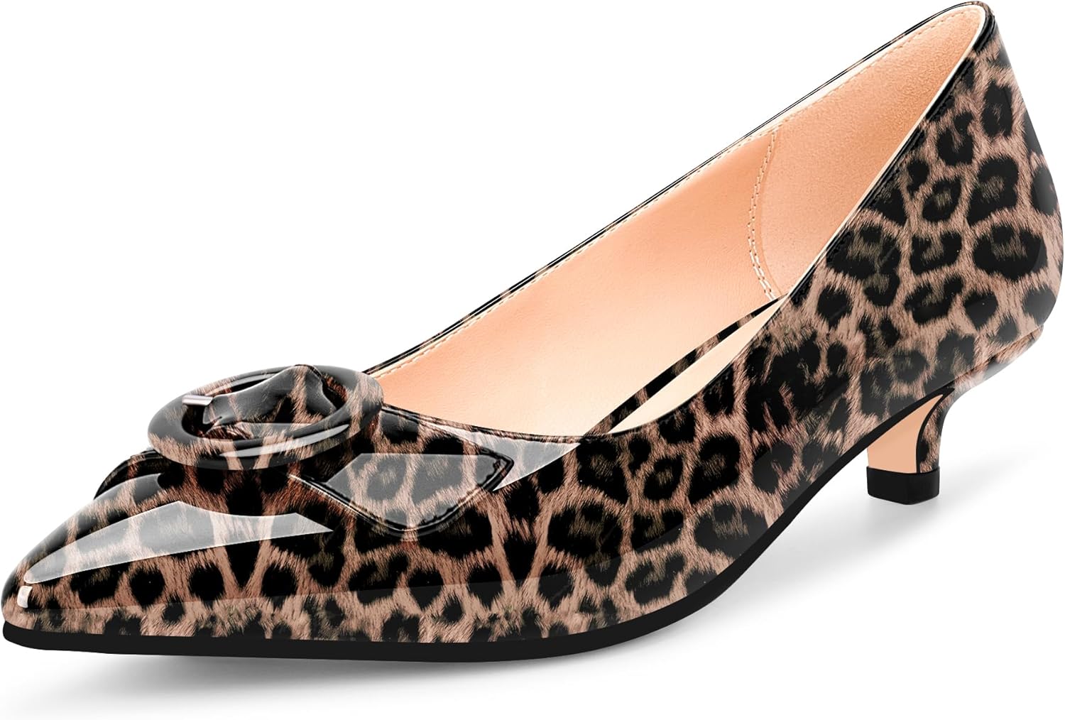 Women's Low Kitten Heel Pumps Pointed Closed Toe Buckle Slip On Office Comfort Shoes