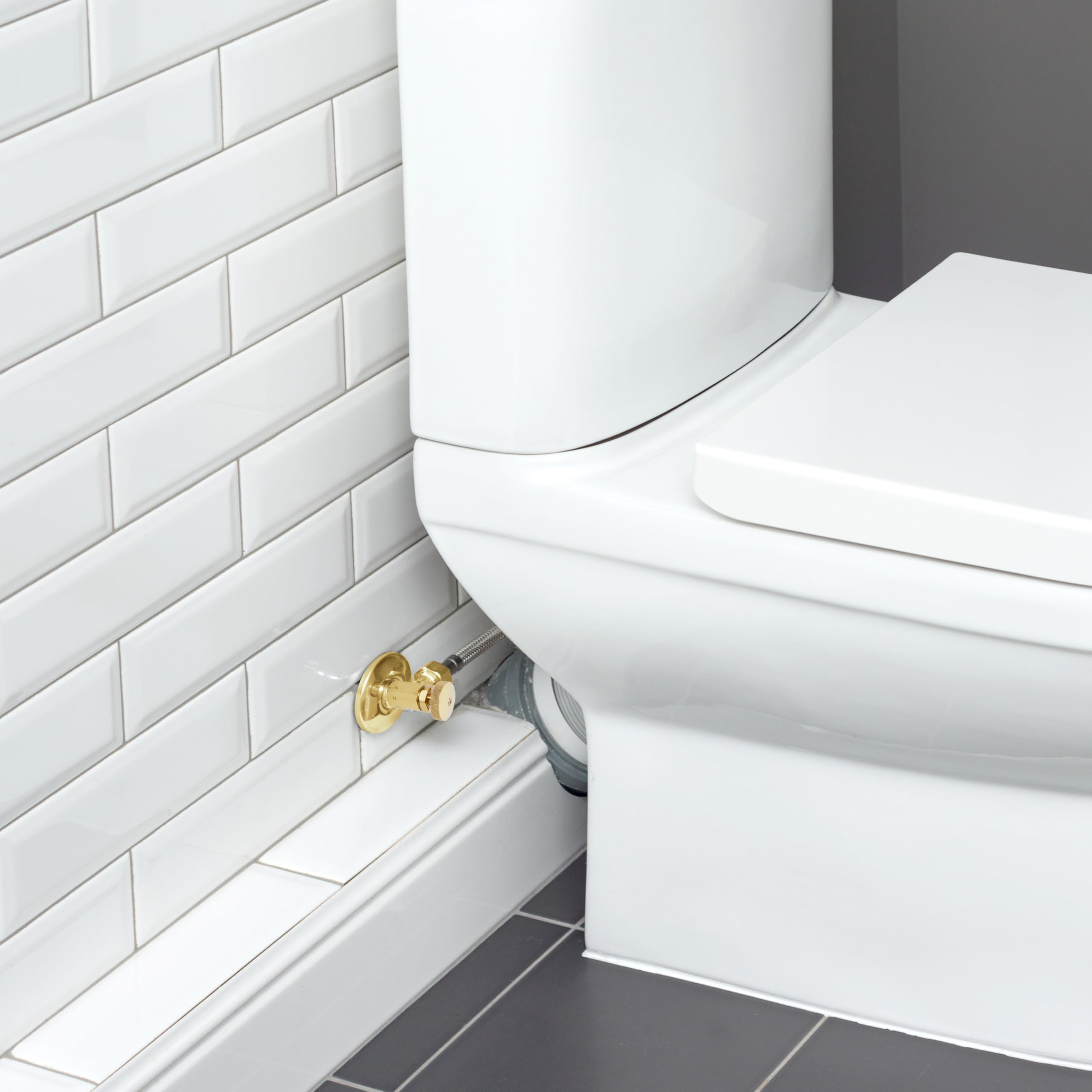 Westbrass D103-2-01 Valvola di arresto angolare con maniglia rotonda, ingresso IPS da 1/2" con uscita di compressione da 3/8", ottone lucido PVD (confezione da 2)