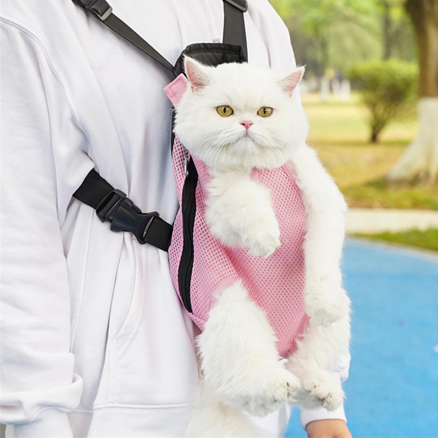 Sac À Dos pour Animaux De Compagnie 1 Pièce, Sac À Dos Portable pour Animaux De Compagnie, Sac À Dos Réglable pour Animaux De Compagnie, Fournitures pour Animaux De Compagnie