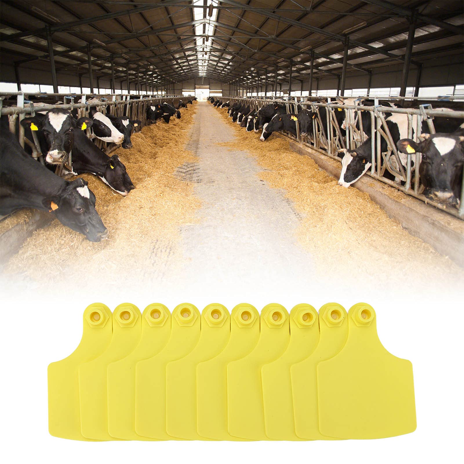 Cryfokt Marchi Auricolari Per Bovini, 100 Set Di Marchi Auricolari In Plastica Per Bestiame, Facili Da Identificare, Etichette Di Precisione Per Suini