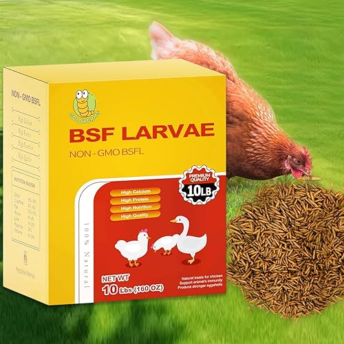 Larvas secas de mosca soldada negra de 10 libras, BSFL es alimento de pollo con alto contenido de proteínas con 85 veces más calcio que los gusanos
