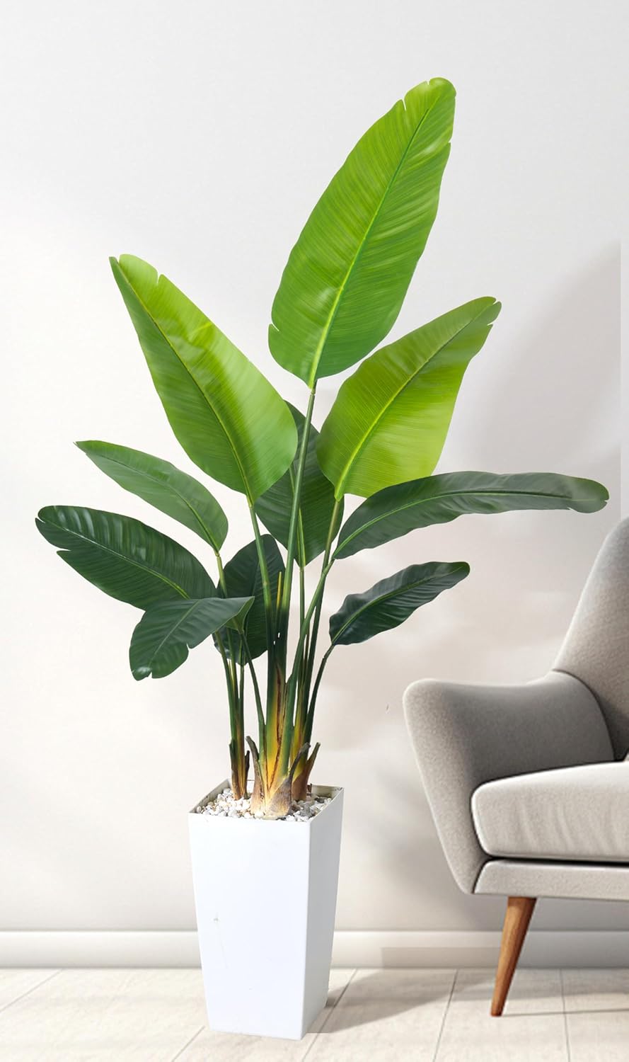 Bird of Paradise Artificial Plant 6FT, Faux Tropical Palm Tree with White Tall Planter, Large Fake Plants in Pot - Artificial Tree for Home Office Living Room Decor Indoor