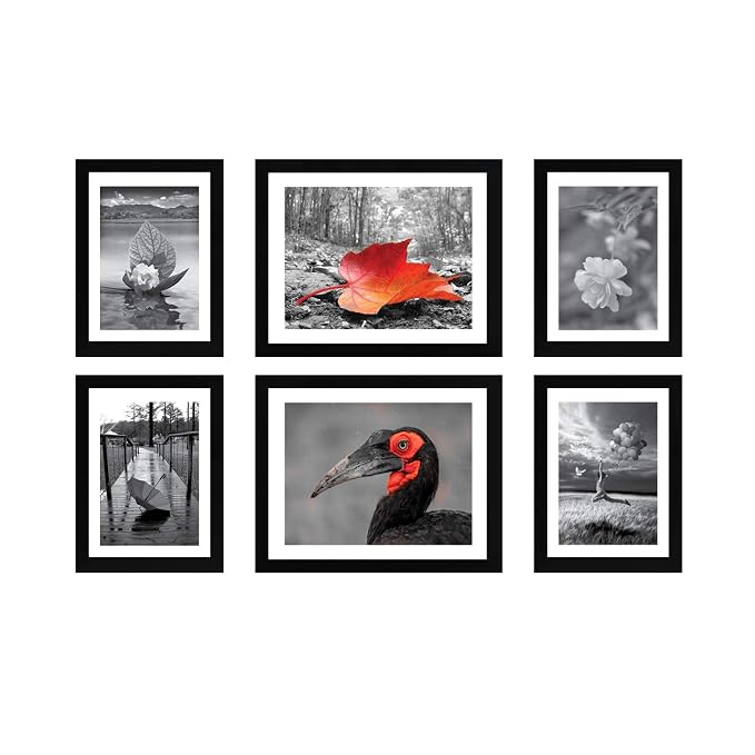 Amazon Brand - Solimo Collage Set of 6 Black Photo Frames (6 X 8Inch - 4 & 8 X 10 Inch - 2 )