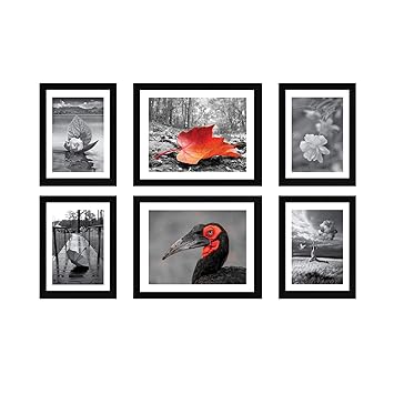 Amazon Brand - Solimo Collage Set of 6 Black Photo Frames (6 X 8Inch - 4 & 8 X 10 Inch - 2 )