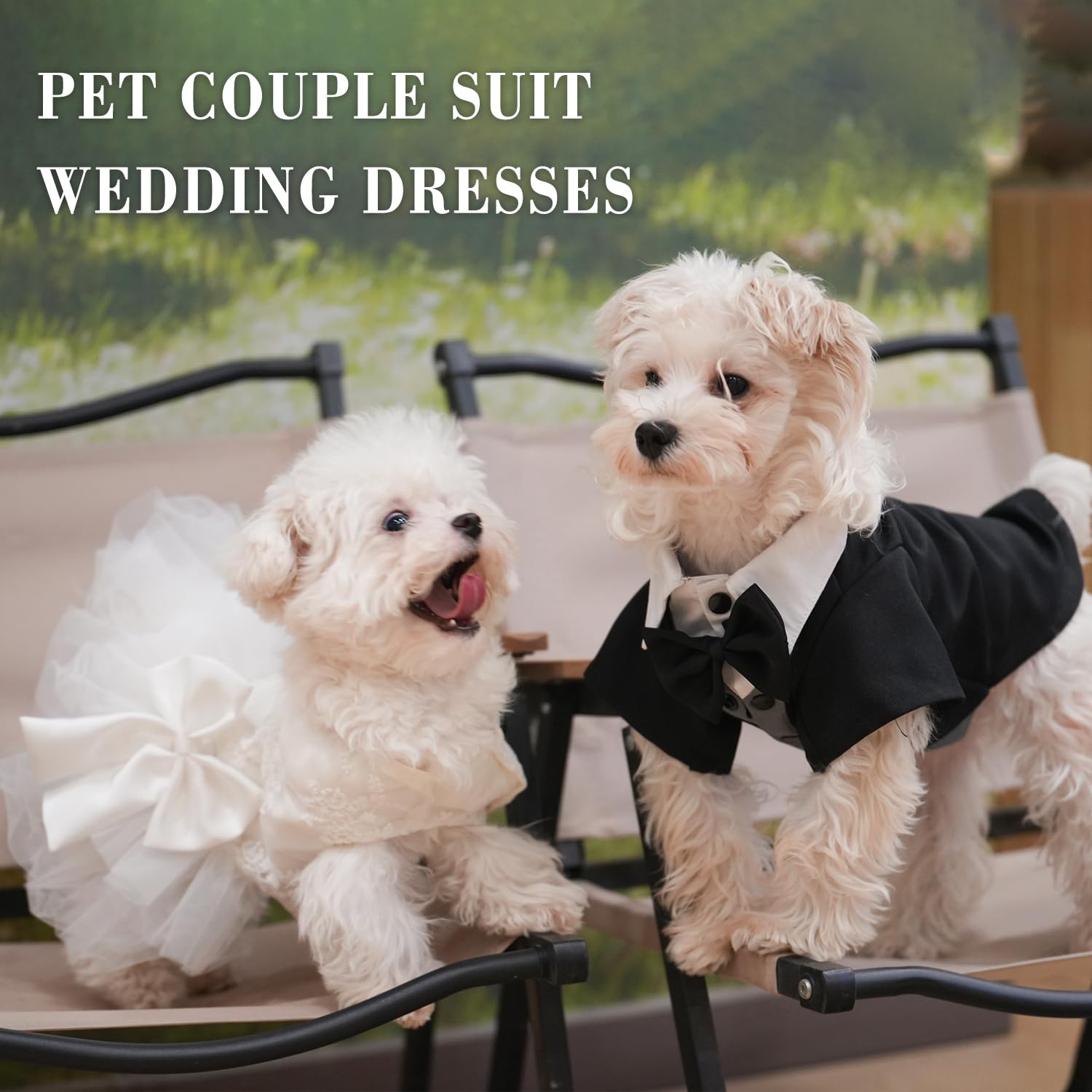 Vestito bianco per cani, abito da sposa con tutù in pizzo ricamato, gonna da principessa, per cuccioli di taglia piccola, media, femmina, costume per cani e ragazze (abito ricamato, 3XL)