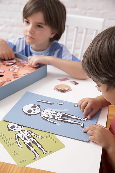 APLI Kids 18531 - Juego Magnético Educativo sobre el Cuerpo Humano para niños a Partir de 5 años - 4