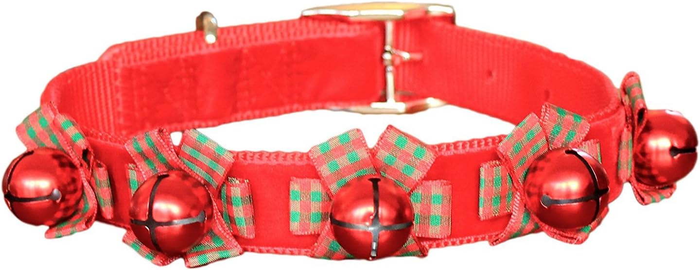 festive dog collar