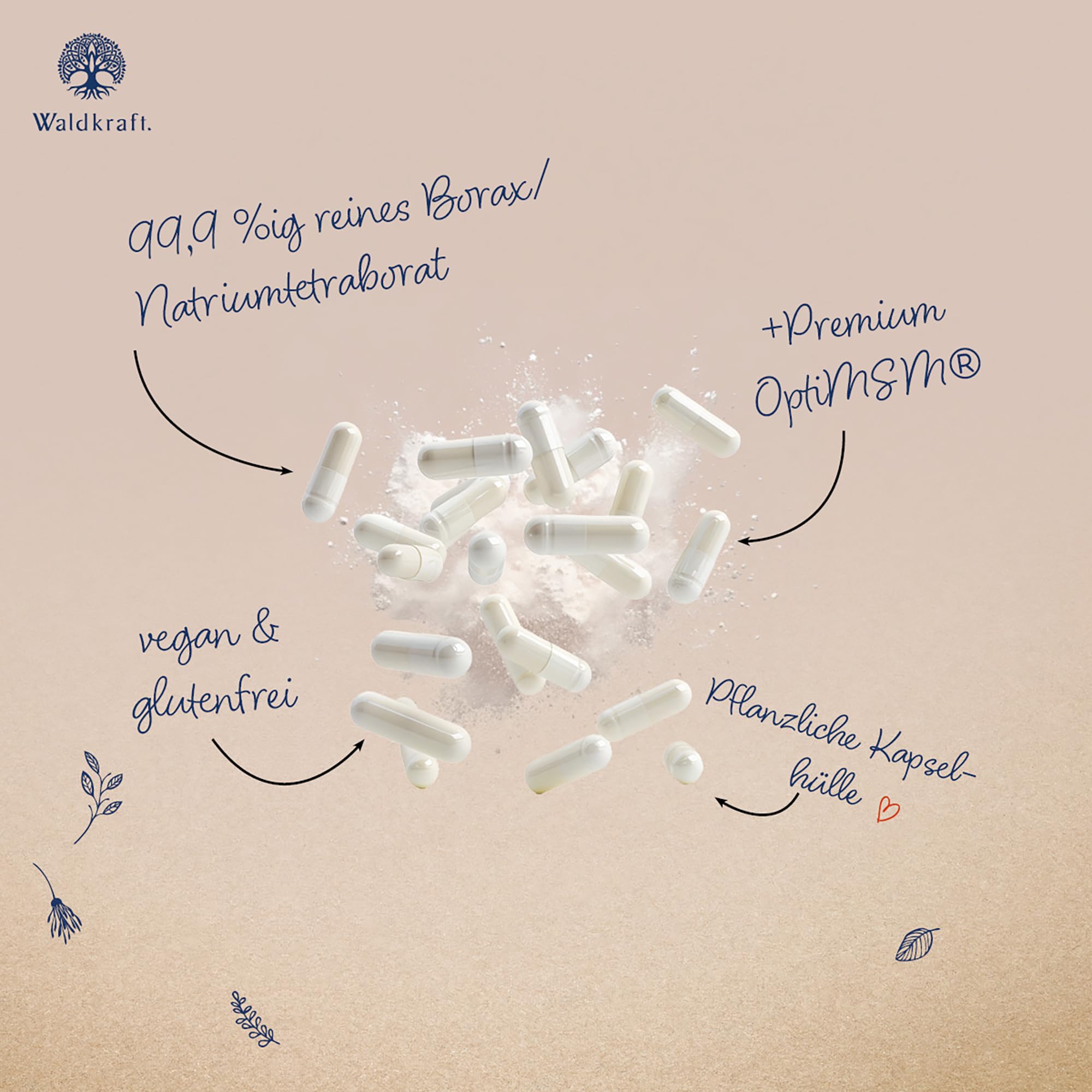 Waldkraft Borax + MSM Kapseln | 99,9% ig reines Natriumtetraborat und OptiMSM® | Lebensmittelqualität | Nachhaltig verpackt in Braunglas | Exklusiv bei Waldkraft | 120 pflanzliche Kapseln