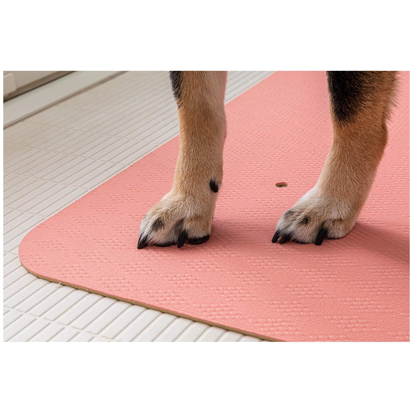 【人気商品】サンコー (SANKO) ペットのシャンプー快適マット 45×55c Amazon | サンコー (SANKO) ペットのシャンプー快適マット 45×55cm