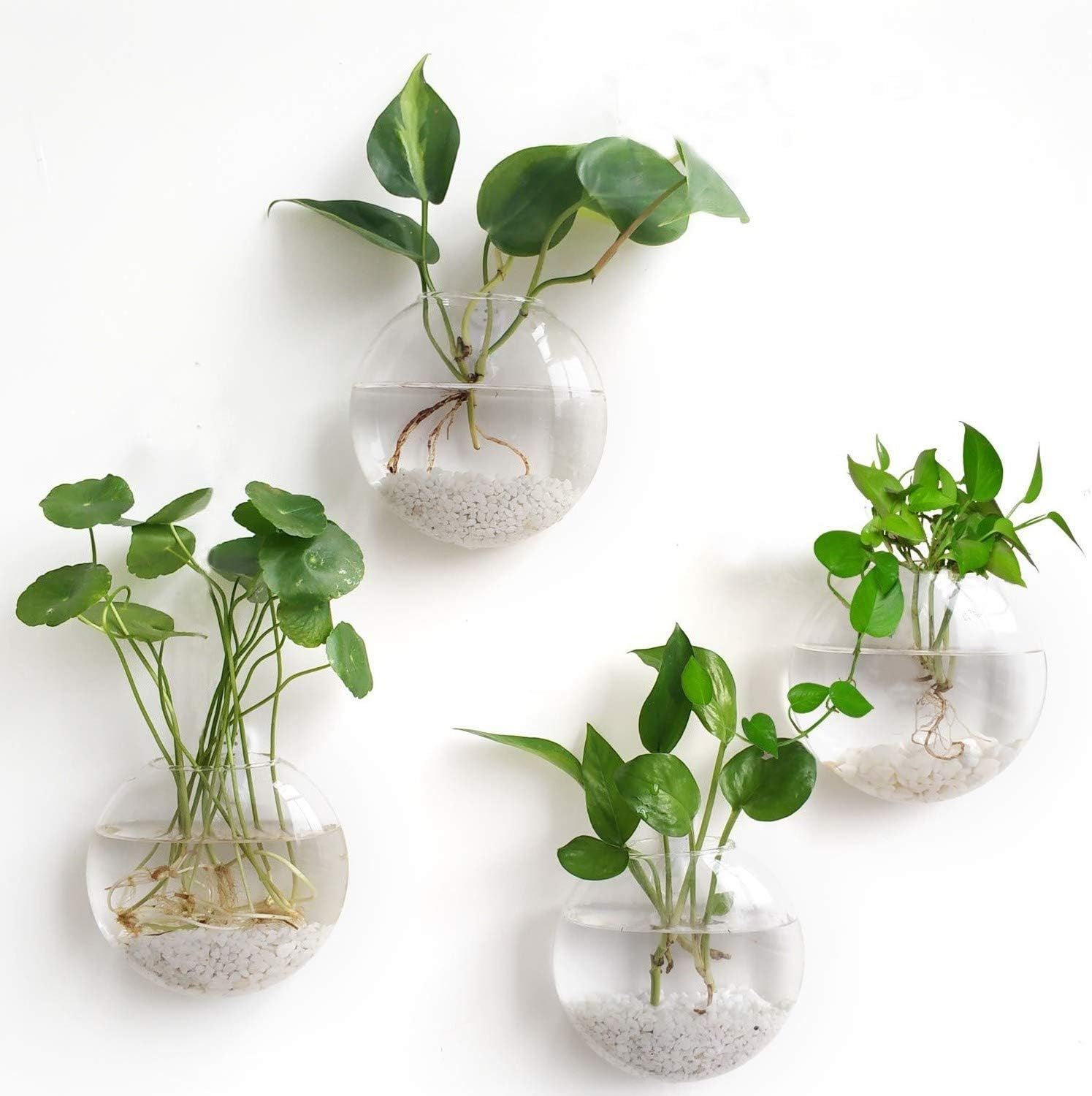 Set of 4 Modern White Round Glass Wall Planters, Indoor, 4.8"W x 4.8"D x 3.8"H, Heat Resistant, Perfect for Air Plants, Water Plants & Decorative Objects