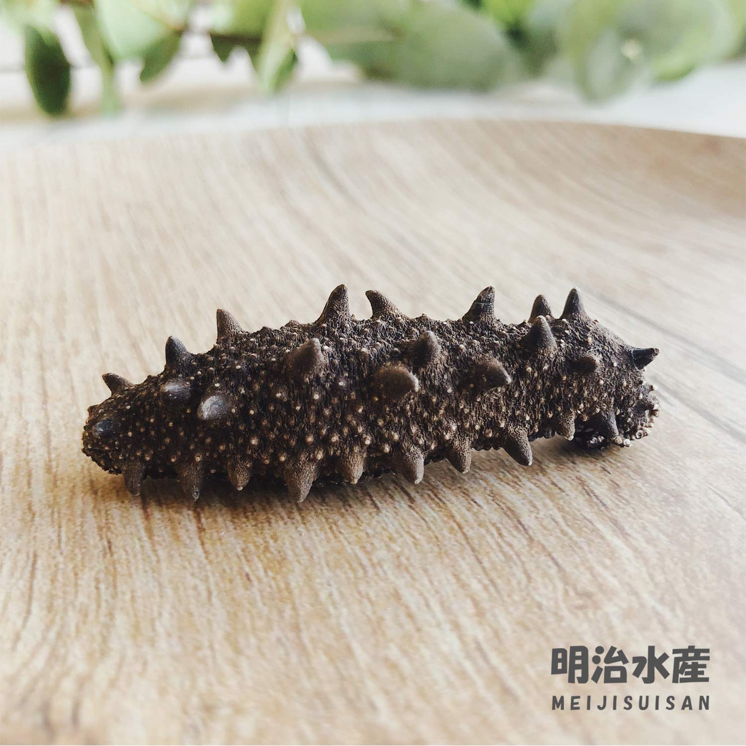 乾燥　沖なまこ　ナマコ 500g A品 Amazon.co.jp: 【青森産】 乾燥なまこ 天然 厳選A級品 500g 明治水産 M